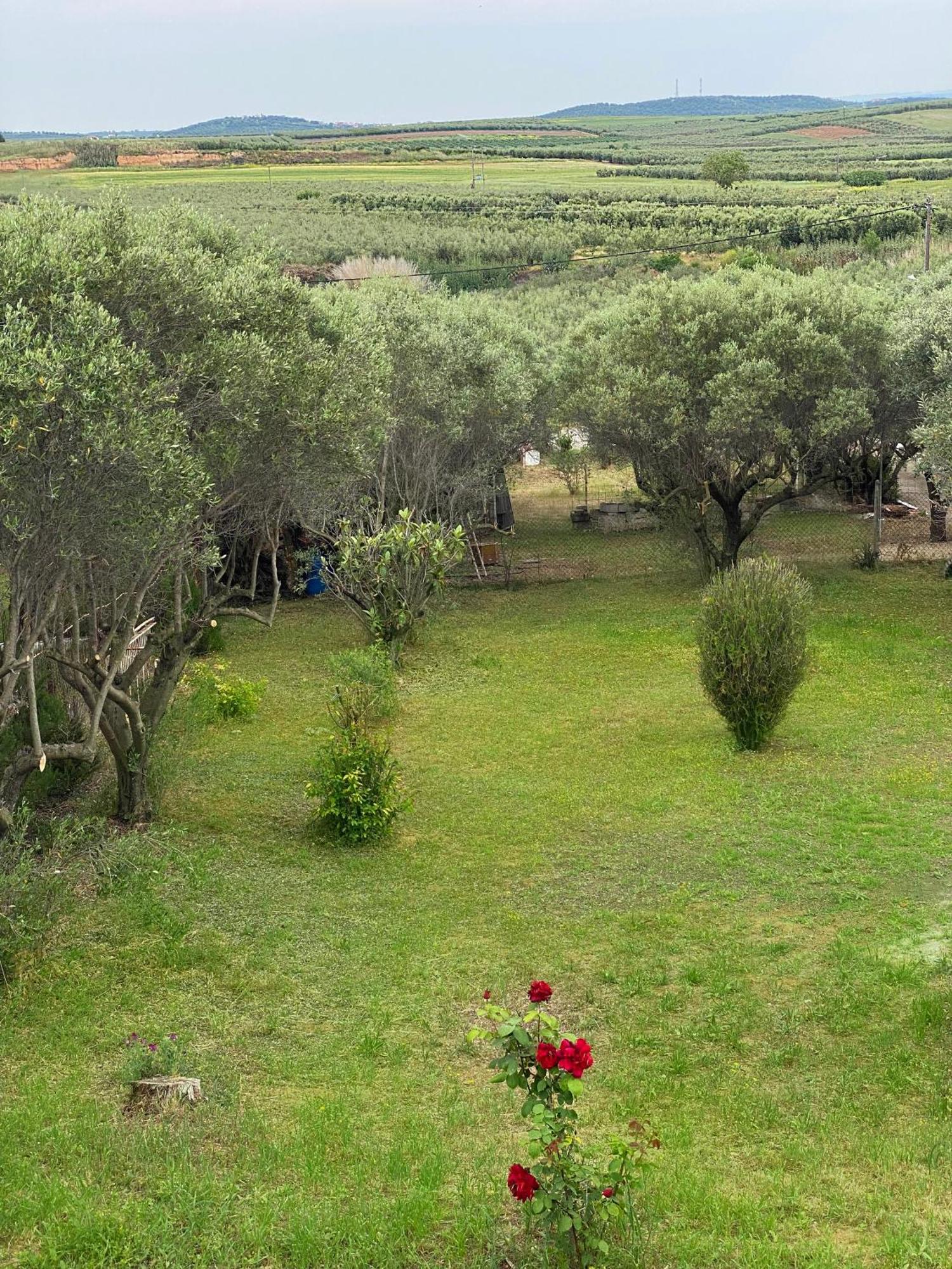 Mediterranean Escape ฟิออยิตา ภายนอก รูปภาพ